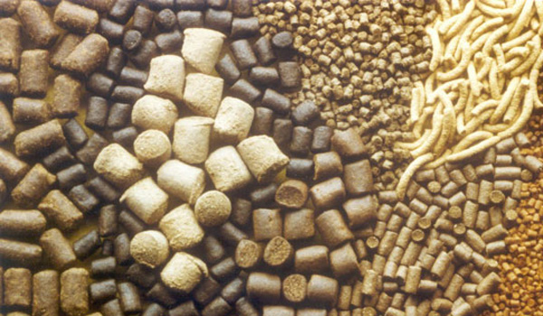 quy-trinh-dang-ky-luu-hanh-thuc-an-chan-nuoi-thuy-san-san-xuat-trong-nuoc