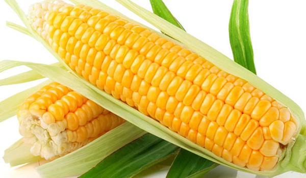 thi-truong-nl-tacn-the-gioi-ngay-27-9-gia-ngo-giam-phien-thu-2-lien-tiep