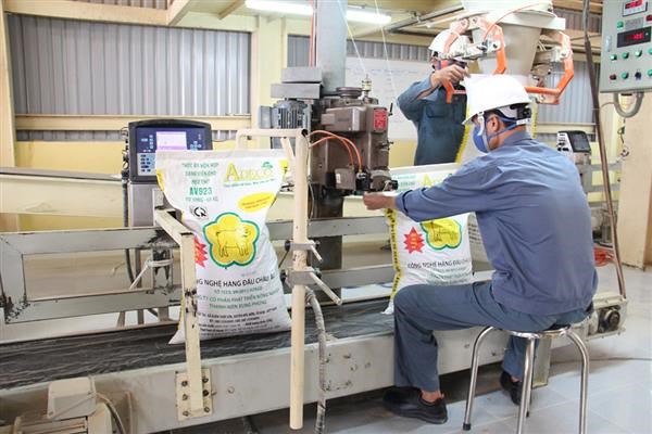 vi-pham-hanh-chinh-ve-linh-vuc-thuc-an-chan-nuoi-thuy-san-bi-phat-den-200-trieu-dong