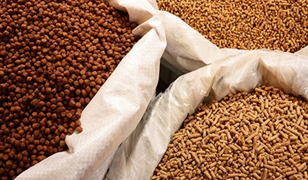 Chính sách có hiệu lực từ tháng 10-2018