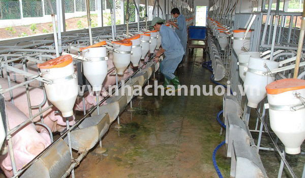 Tiêu chí xác định odanh nghiệp nông nghiệp ứng dụng công nghệ cao