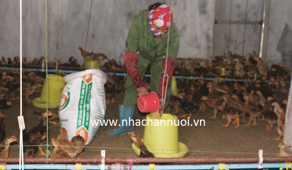 tin-dung-cho-chan-nuoi-can-duoc-khoi-thong