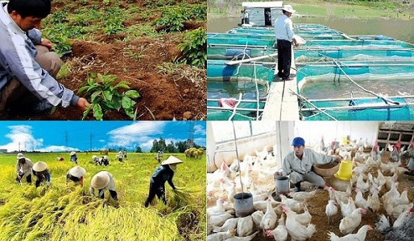 tinh-hinh-chan-nuoi-ca-nuoc-thang-05-2018