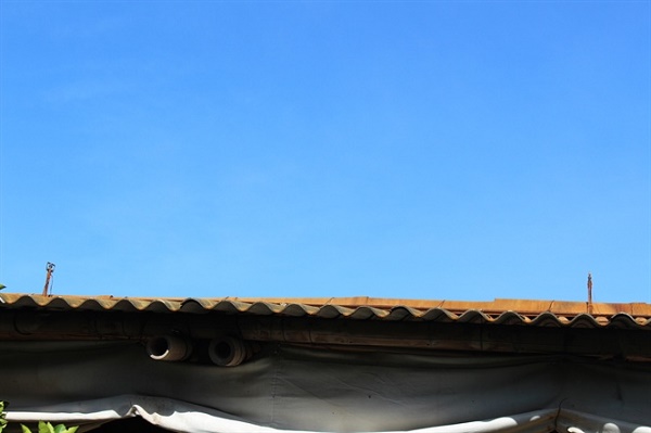 Trăm kiểu chống nóng vật nuôi, chi phí tăng vọt