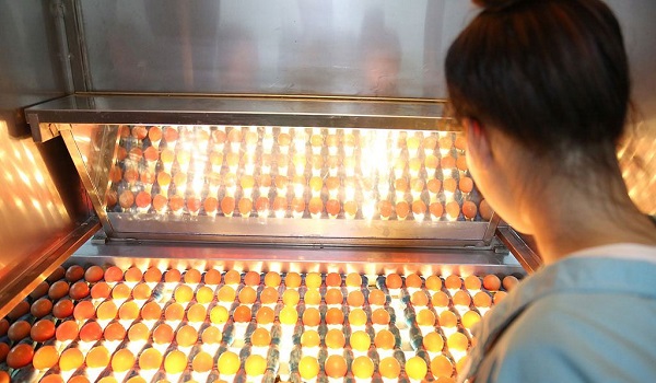 Trứng gà ăn liền Devi: Sản phẩm độc đáo của Dabaco