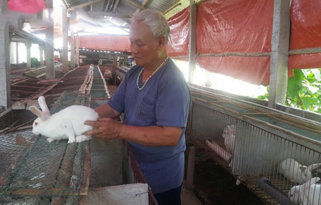 U 80 "tập thể dục hàng ngày" mà mỗi tháng bỏ túi 15 triệu đồng