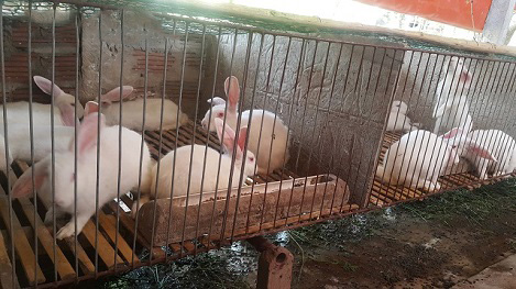 U 80 "tập thể dục hàng ngày" mà mỗi tháng bỏ túi 15 triệu đồng