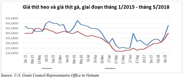 USDA: Thị trường heo hơi Việt Nam có thể ổn định vào đầu 2019