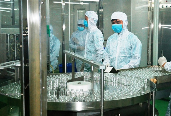 Việt Nam lần đầu 'ra mắt' giống vacxin lở mồm long móng