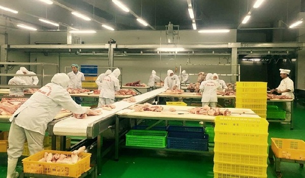 Vinh Anh Food: Thịt sạch cho mọi nhà