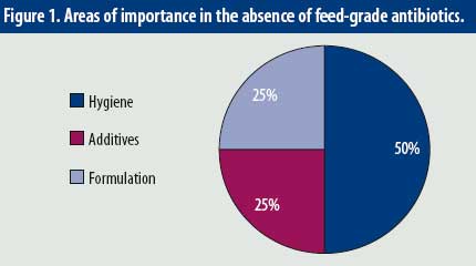 Xây dựng khẩu phần không kháng sinh