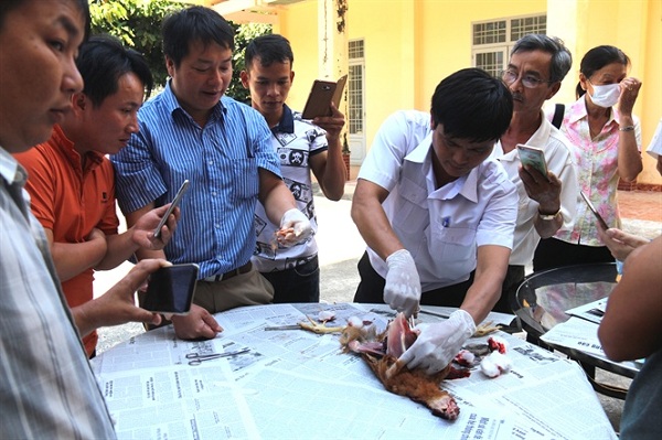 Xây dựng mô hình chăn nuôi an toàn có kiểm soát dịch bệnh để hướng tới xuất khẩu