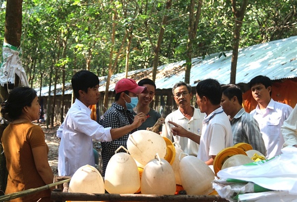Xây dựng mô hình chăn nuôi an toàn có kiểm soát dịch bệnh để hướng tới xuất khẩu
