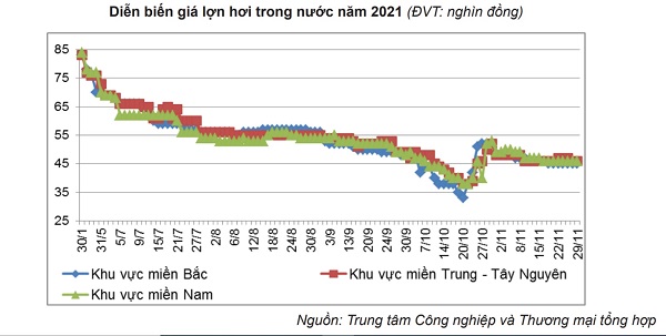 Bản tin thị trường thịt trong nước và thế giới tháng 8.2022