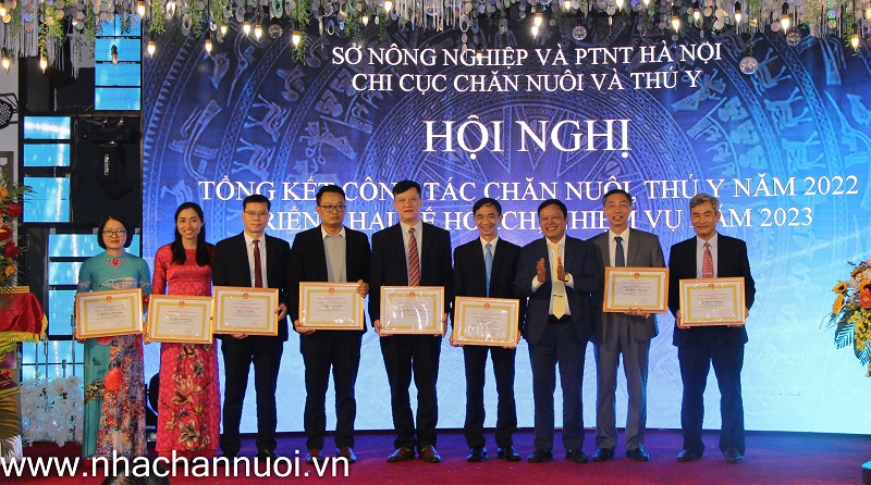 Chăn nuôi Hà Nội năm 2023: Đối mặt với quá trình đô thị hóa nhanh