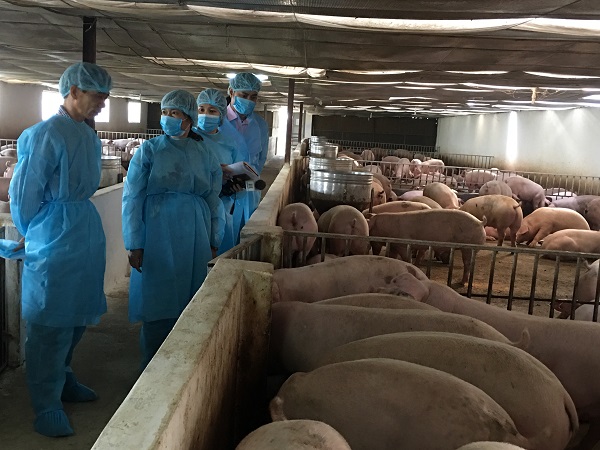 Hiệp hội chăn nuôi Đồng Nai 'kêu cứu’
