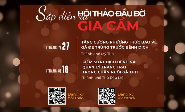 Sắp diễn ra hội thảo chuyên ngành gà đẻ trứng tại tỉnh Tiền Giang