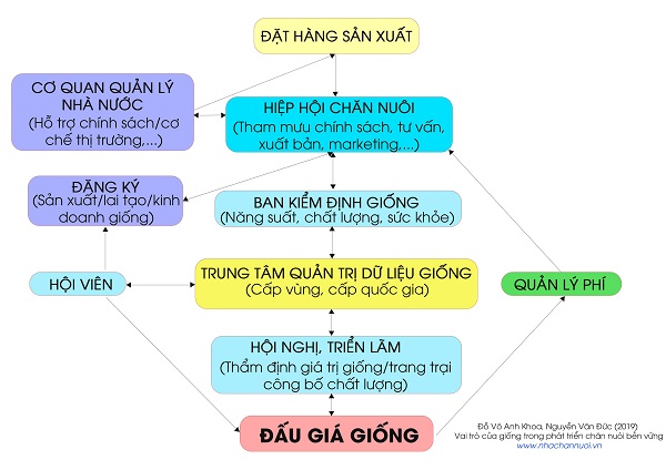 Một số vấn đề cấp bách để ổn định sản xuất chăn nuôi