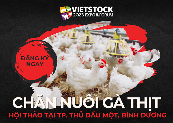 Hội thảo chuyên ngành chăn nuôi gà thịt tại tỉnh Bình Dương