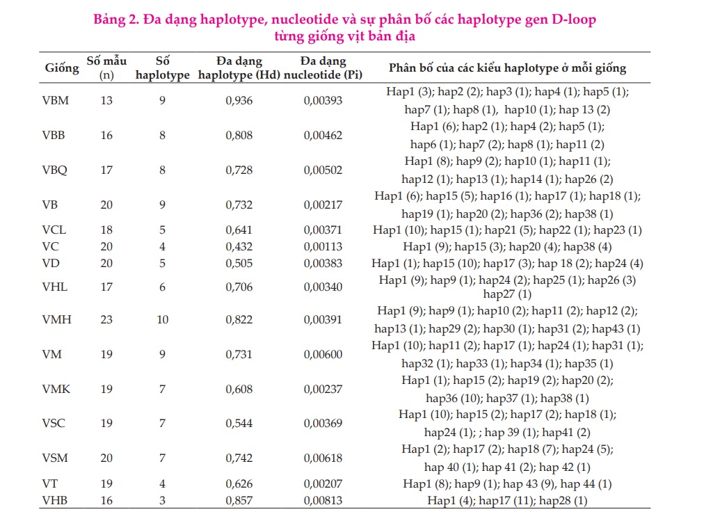 Đa dạng di truyền Genne-Loop ty thể ở một số giống vịt bản địa Việt Nam