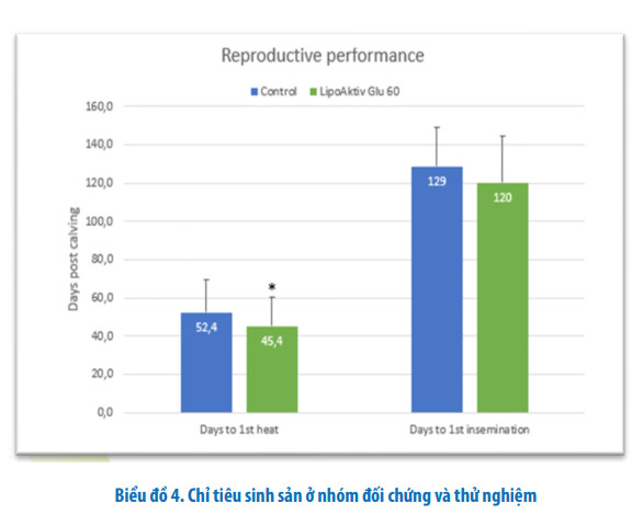 Bổ sung Lipoaktiv Glu 60 cho bò giai đoạn chuyển tiếp