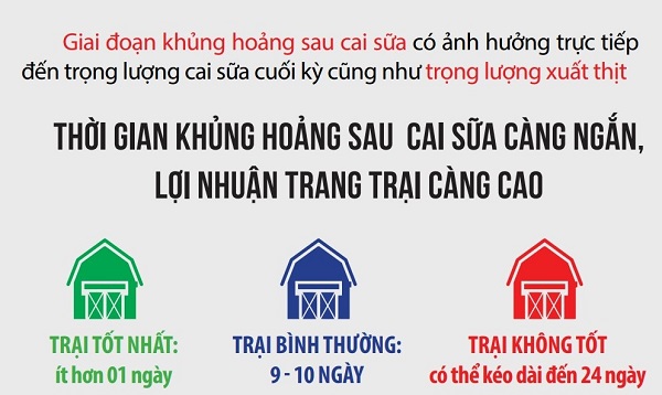 Giai đoạn khủng hoảng sau cai sữa