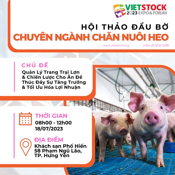Giá heo tăng mạnh – Dấu hiệu của chu kỳ mới