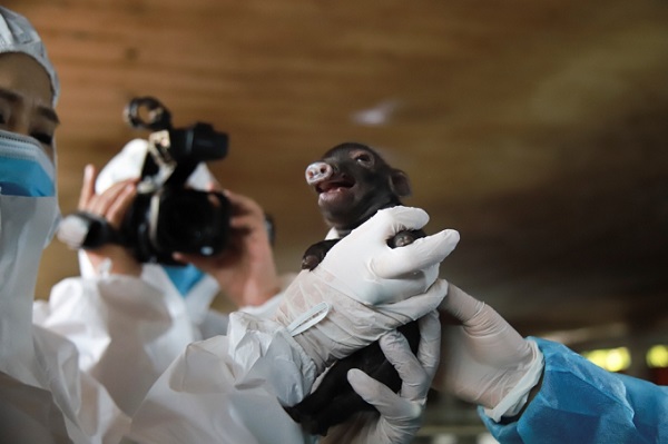 Những rắc rối làm nản lòng nhà khoa học