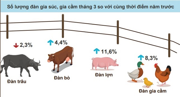 BẢN TIN CHĂN NUÔI VIỆT NAM TUẦN TỪ 27/3/2021-3/4/2021