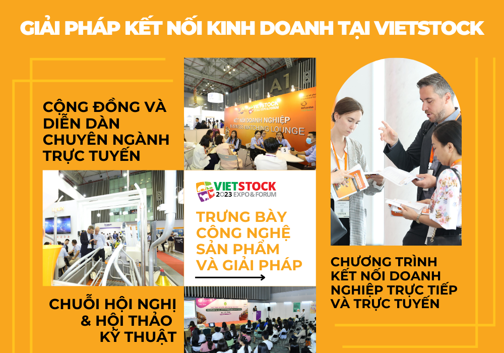 Tìm kiếm đối tác kinh doanh trong ngành Thức ăn chăn nuôi? Đăng kí Vietstock ngay!