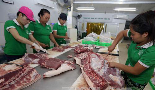 TP Hồ Chí Minh mở chốt chặn kiểm soát truy xuất nguồn gốc thịt lợn