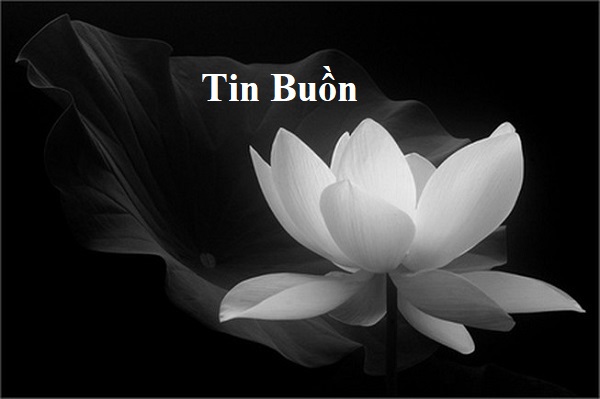 Tin buồn