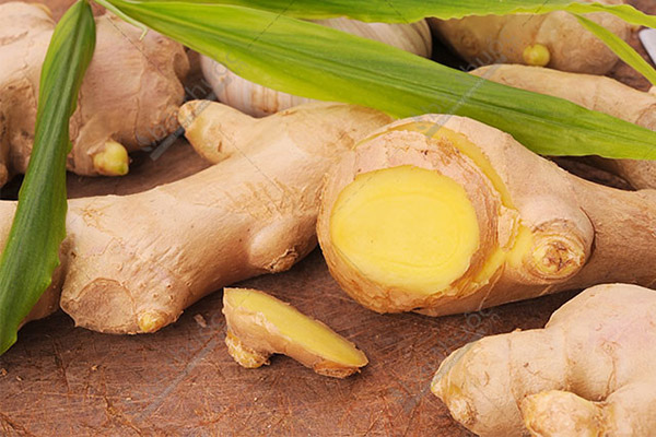 Gừng và prebiotic thúc đẩy các vi khuẩn có lợi...