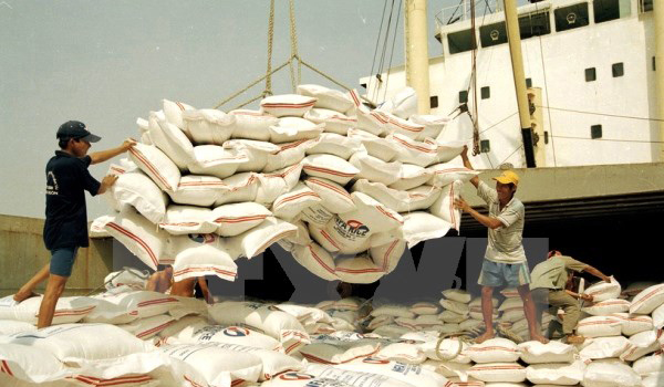 Nông nghiệp Việt Nam phải làm gì để tăng trưởng và cân bằng thị trường
