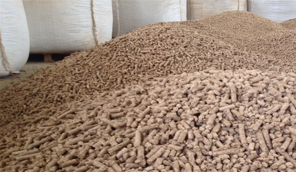 Không sử dụng kháng sinh trong thức ăn thủy sản