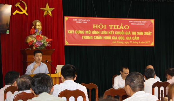 Hải Dương: Vào chuỗi liên kết, người nuôi lợn vẫn lãi.