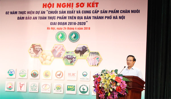 Hà Nội: Chuỗi chăn nuôi đạt nhiều kết quả khích lệ