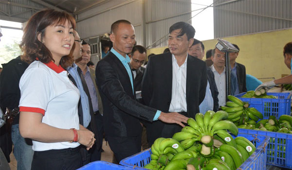 BT Nguyễn Xuân Cường: Hưng Yên cần xây dựng nền nông nghiệp đô thị