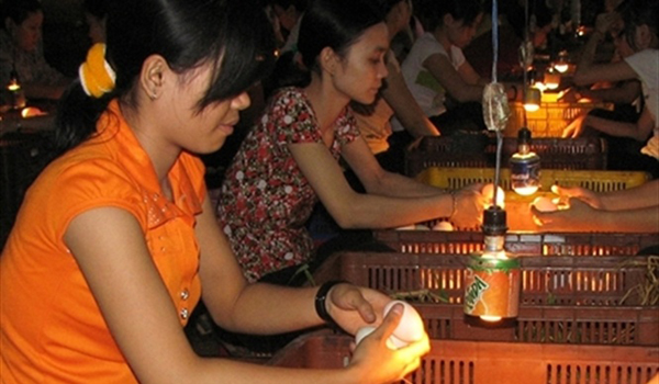 Trứng vịt muối xuất khẩu gặp khó vì phí kiểm dịch tăng