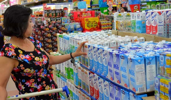 TPHCM: Đàn bò sữa và sản lượng sữa tươi giảm